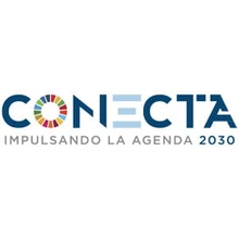 <h1>Conecta</h1>
<p>Recognition from Pacto Global Chile for the management and valorization of paper sludge waste.</p>